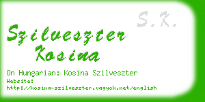 szilveszter kosina business card